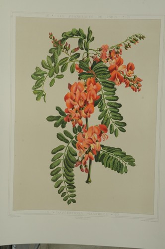 Lithographie couleur originale