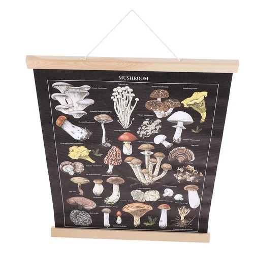 Affiche vintage suspendue - affiche,