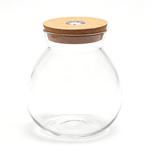 Bouteille terrarium en - de,