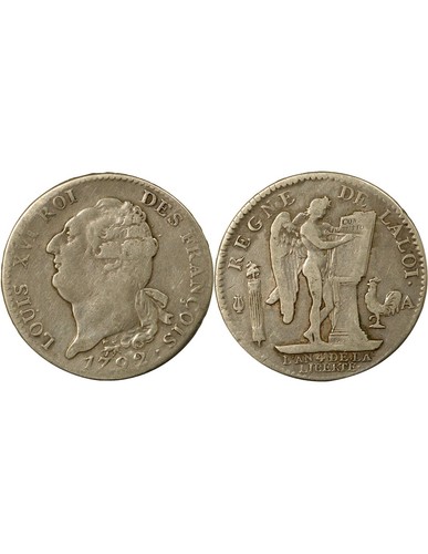 France louis xvi - louis, constitution