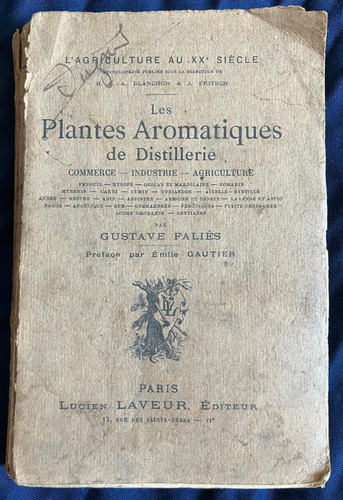 Les plantes aromatiques - aromatiques, de