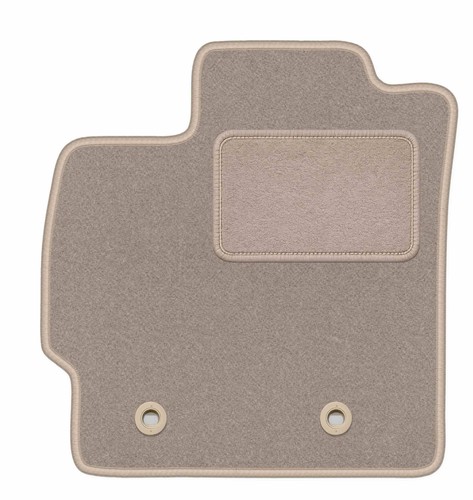 Tapis conducteur moquette - en,