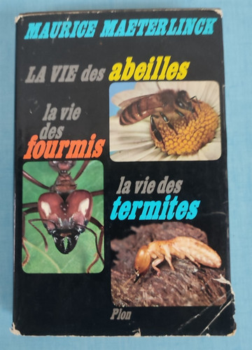 vie abeilles
