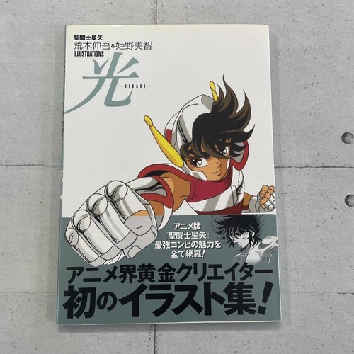 Saint seiya hikari - saint,