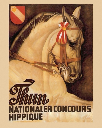 Affiche poster équitation - affiche,