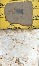 FORME DE Moule pour plâtre