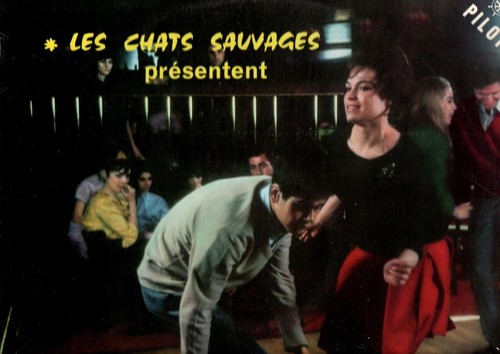 Les chats sauvages - ",