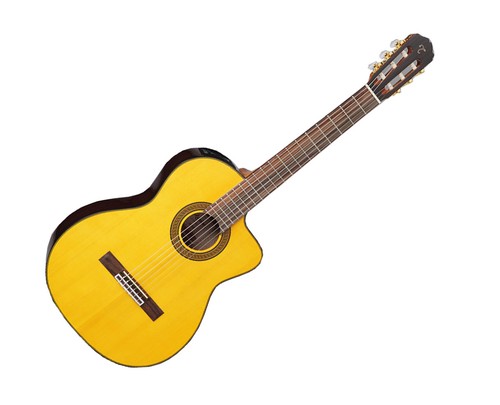 Takamine series gc5ce - series,