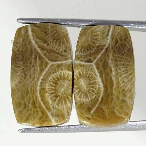 Paire cabochons corail - de,