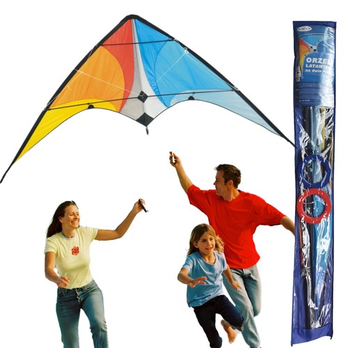Grand cerf volant - cerf-volant, sport