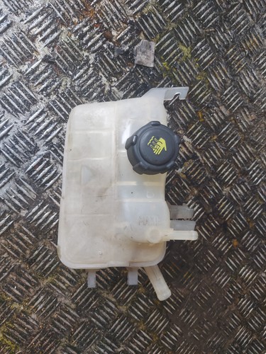 Vase expansion renault - vase,