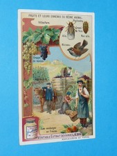 CHROMO 1908 LIEBIG SERIE 931