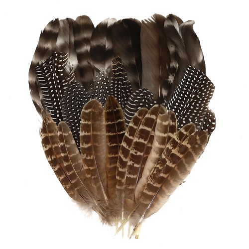 Lot plumes naturelles de - 30,