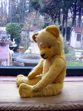 Zephyrin ours ancien né vers