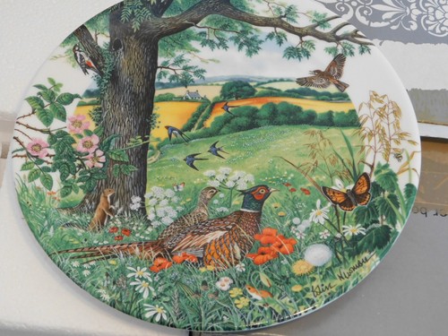 Vintage assiette wegwood - vintage,