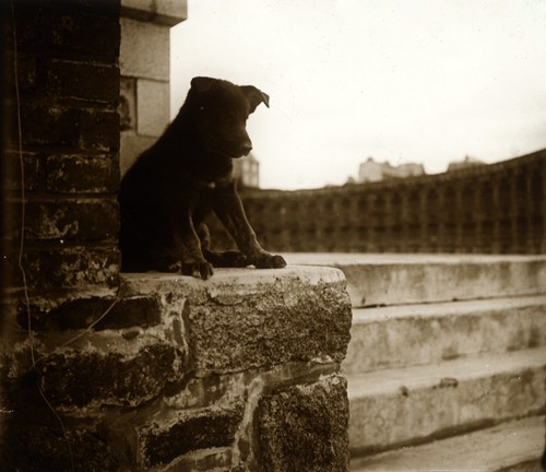 Tirage repro photo - , ancienne