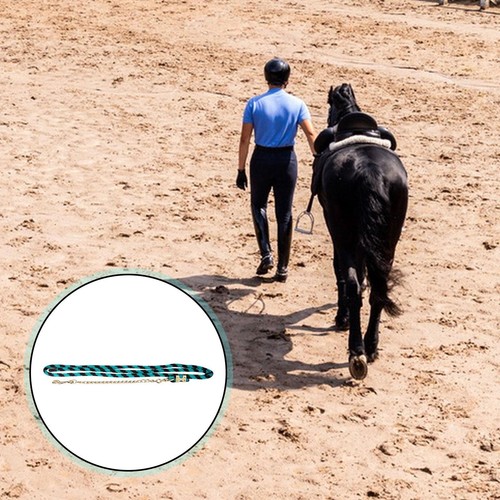Longe pour cheval avec