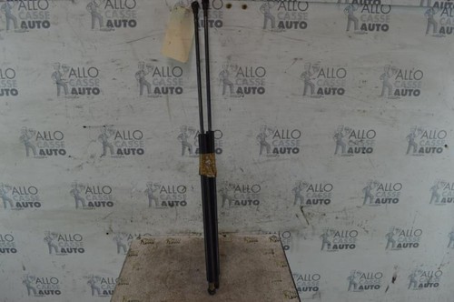 Verin coffre peugeot 306 - verin,