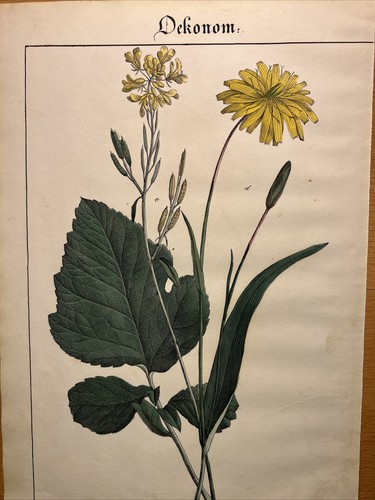 Lithographie ancienne 1838