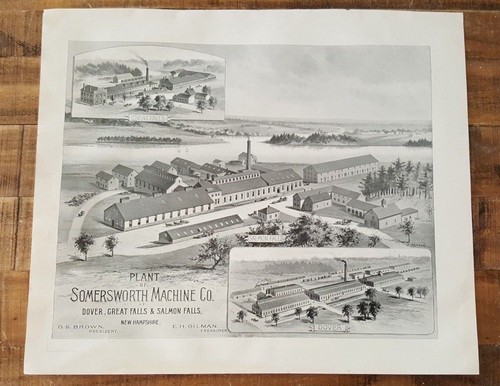 Ancien engraving plant - ancien, de
