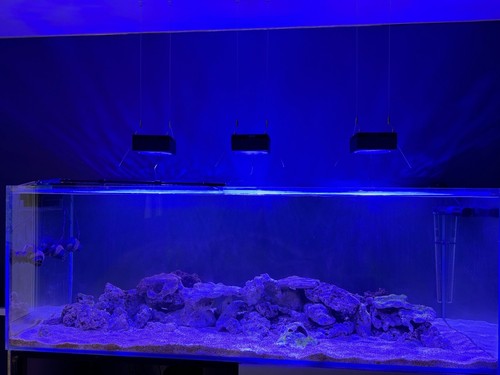 aquariums