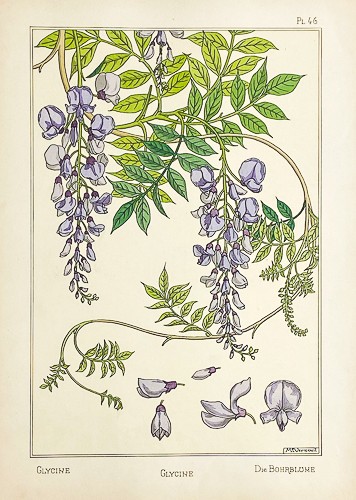 Original 1896 grasset - 1896,
