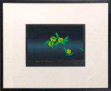 Kozo Inoue "Furuit Dori"