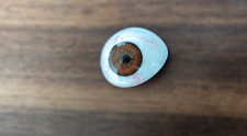 Oeil en verre prothétique marron humain haut de gamme avec livraison gratuite