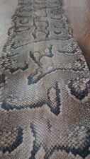 Peau de serpent Python  1, 95 m