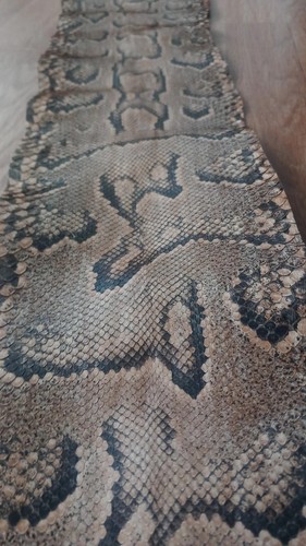 Peau serpent python 95 - peau, de