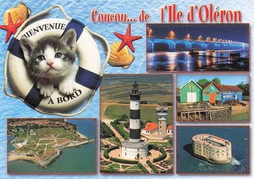 Ile oleron pont l - 17,