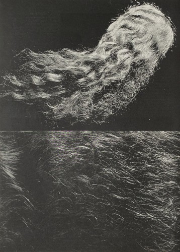 Erwin blumenfeld vintage - blumenfeld,