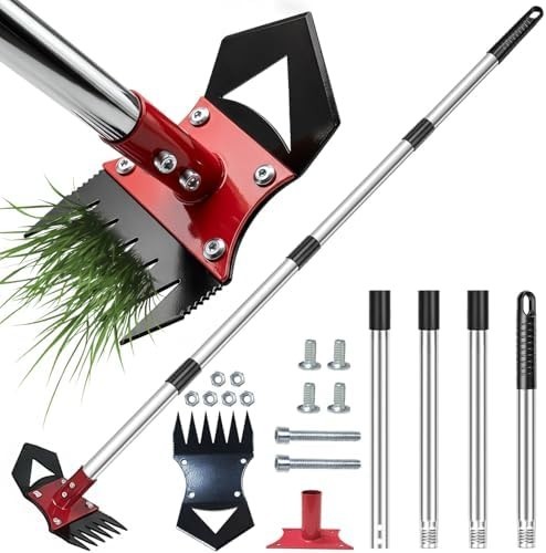 Arrache mauvaise herbe - arrache,