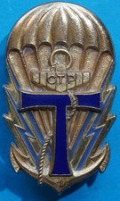 Insigne de la 1° Compagnie de