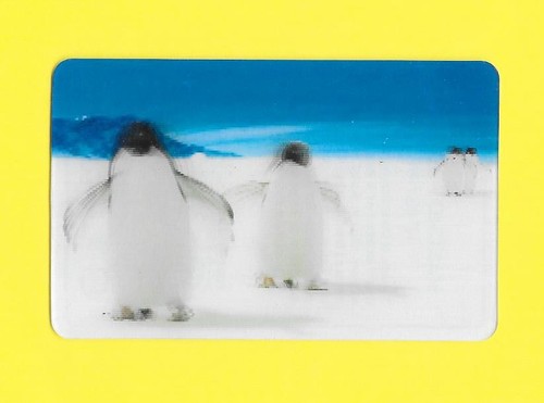 Carte cora match - cora,