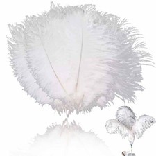 30 Pièces Plumes D'autruche