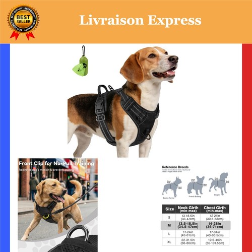 Harnais chien joytale - harnais,