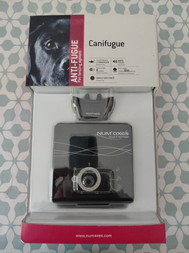 Canifugue chien - canifugue,