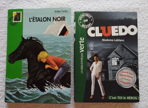 Lot livres jeunesse - livres,