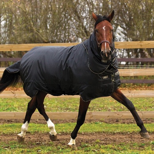 Horseware trot plus turnout - trot,