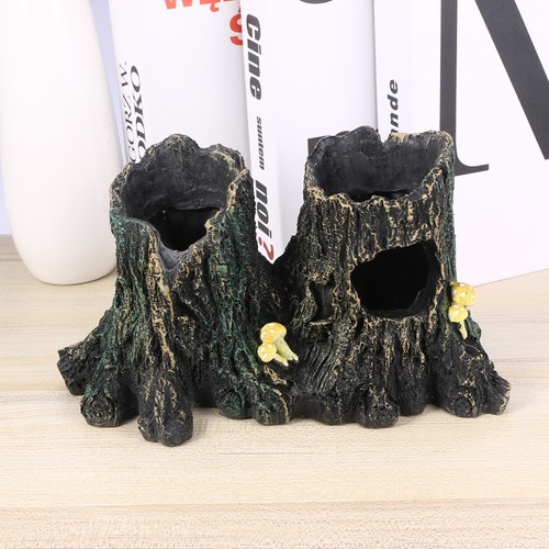Décor terrarium - décor, de