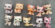 Lot  Chats  Authentique LPS-little-petshop-HASBRO- -