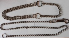 Collier + laisse chaine chien