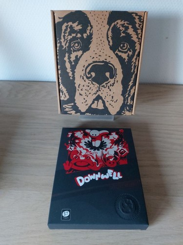 Downwell ps4 collector - ps4,