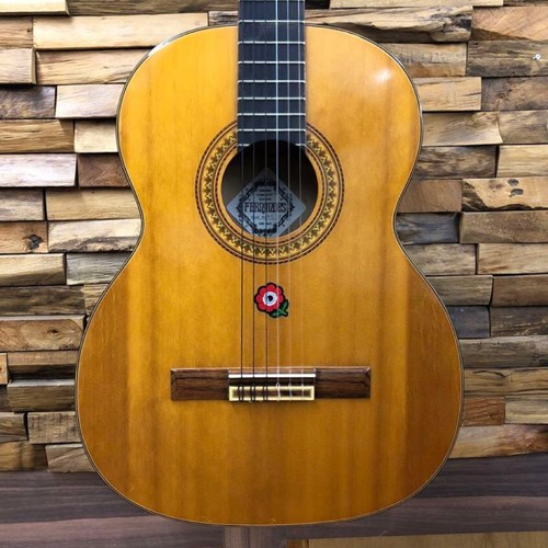 Fernandes gc12 guitare - gc12,