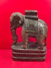 Grand éléphant africain