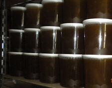 Miel de sarrasin 2024