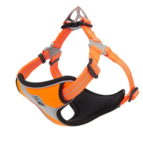 Harnais pour chien gilet - gilet, de