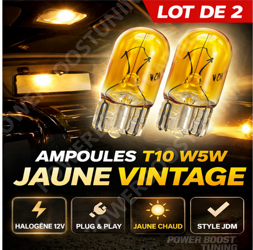 Ampoules t10 w5w - w5w, en