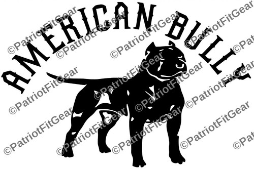American bully pitbull pit - american, bully,pitbull,pit